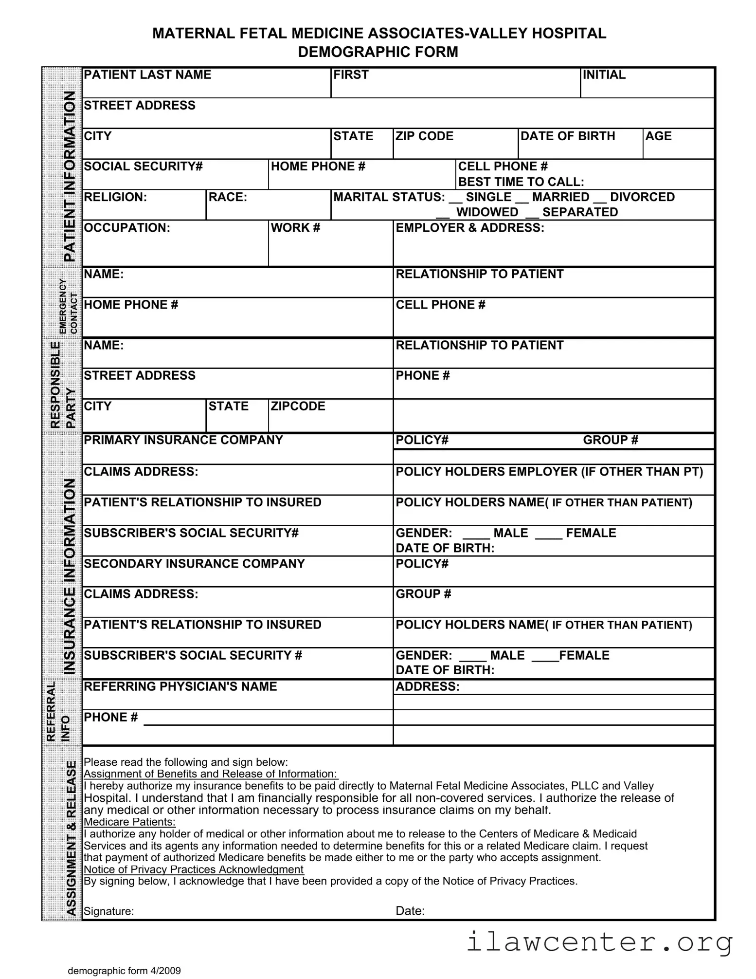 Patient Demographics PDF Template
